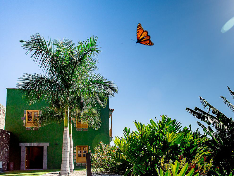 Finca los Deseos - Terraza de la Cantonera