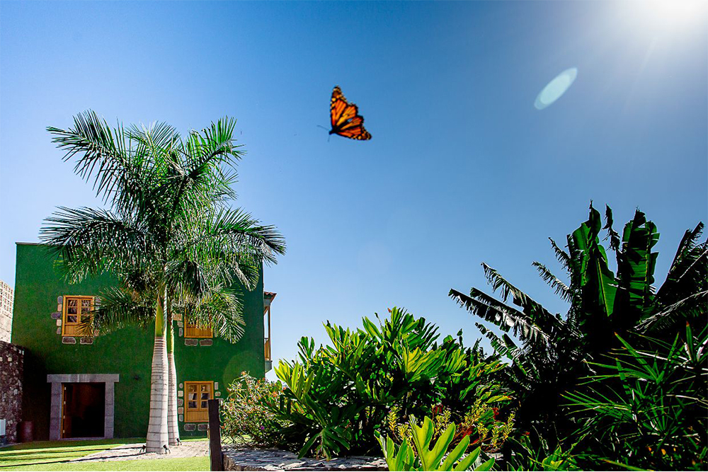 Finca los Deseos Gran Canaria - Terraza de la Cantonera