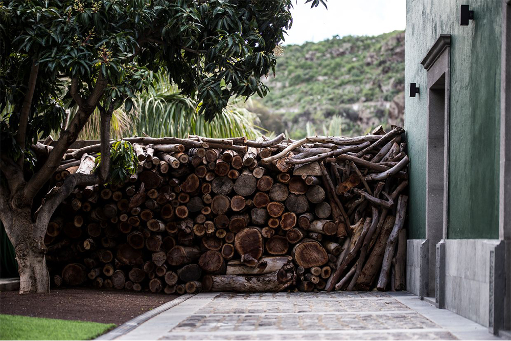 Finca los Deseos Gran Canaria - Jardín de los Frutales