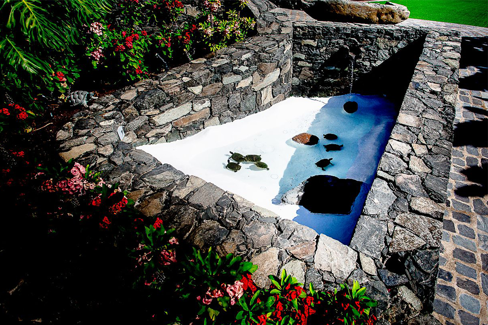 Finca los Deseos Gran Canaria - Jardín de las Tortugas